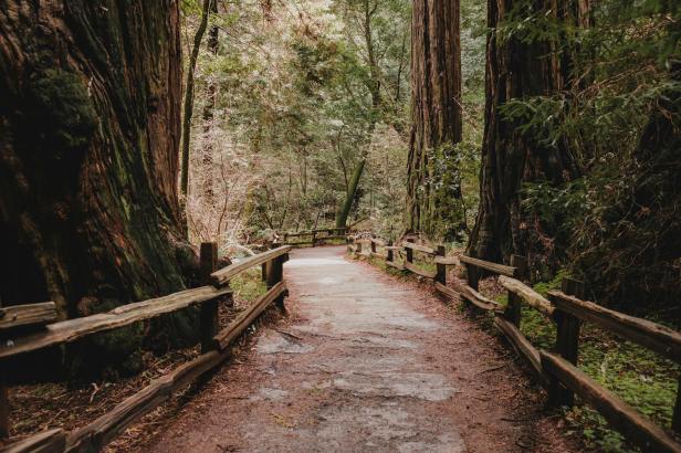 Gedicht Student van jouw&nbsp;leven